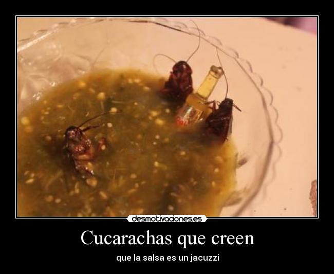 Cucarachas que creen - que la salsa es un jacuzzi