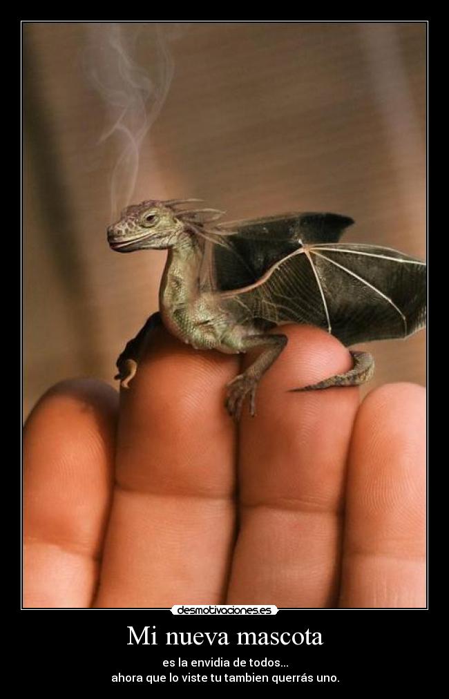 Mi nueva mascota - es la envidia de todos...
ahora que lo viste tu tambien querrás uno.