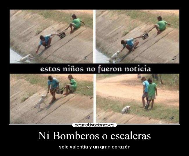 Ni Bomberos o escaleras -