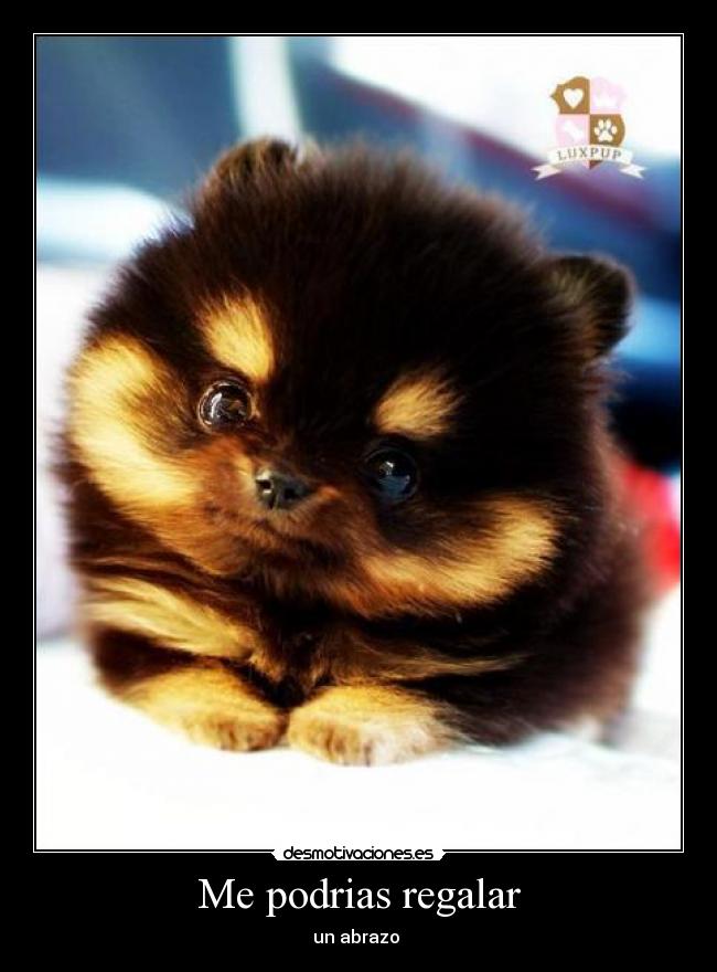 Me podrias regalar - un abrazo