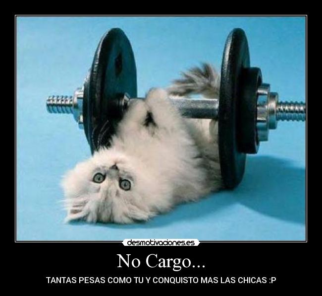 No Cargo... - 