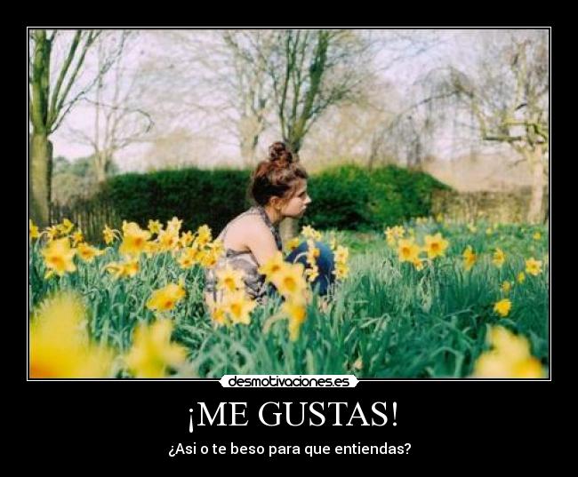 ¡ME GUSTAS! -