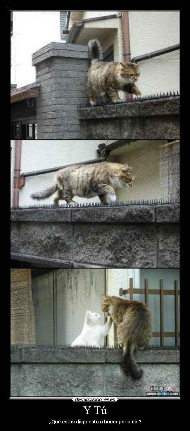 Y Tú - ¿Qué estás dispuesto a hacer por amor?