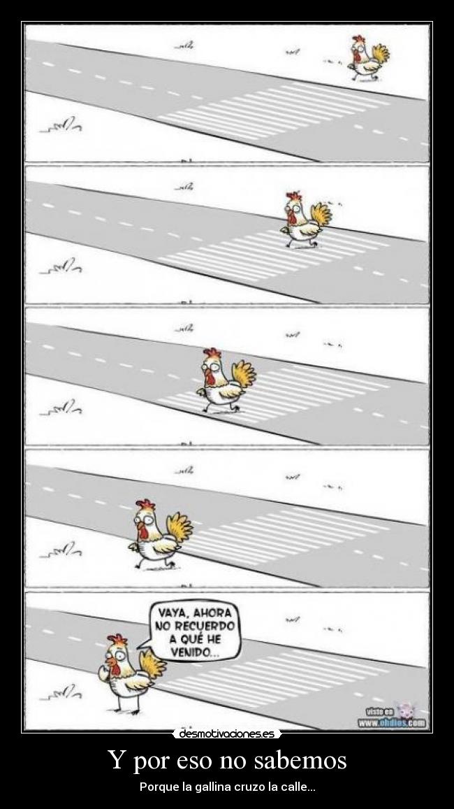 Y por eso no sabemos - Porque la gallina cruzo la calle...