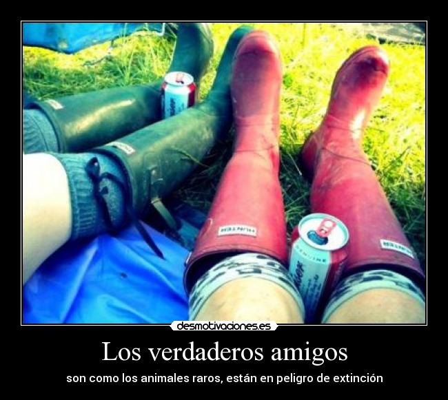Los verdaderos amigos - son como los animales raros, están en peligro de extinción
