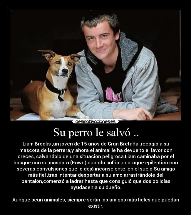 Su perro le salvó .. - Liam Brooks ,un joven de 15 años de Gran Bretaña ,recogió a su
mascota de la perrera,y ahora el animal le ha devuelto el favor con
creces, salvándolo de una situación peligrosa.Liam caminaba por el
bosque con su mascota (Fawn) cuando sufrió un ataque epiléptico con
severas convulsiones que lo dejó inconsciente  en el suelo.Su amigo
más fiel ,tras intentar despertar a su amo arrastrándole del
pantalón,comenzó a ladrar hasta que consiguió que dos policías
ayudasen a su dueño.

Aunque sean animales, siempre serán los amigos más fieles que puedan
existir.