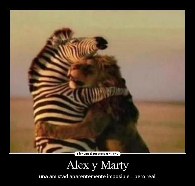 Alex y Marty - una amistad aparentemente imposible... pero real!
