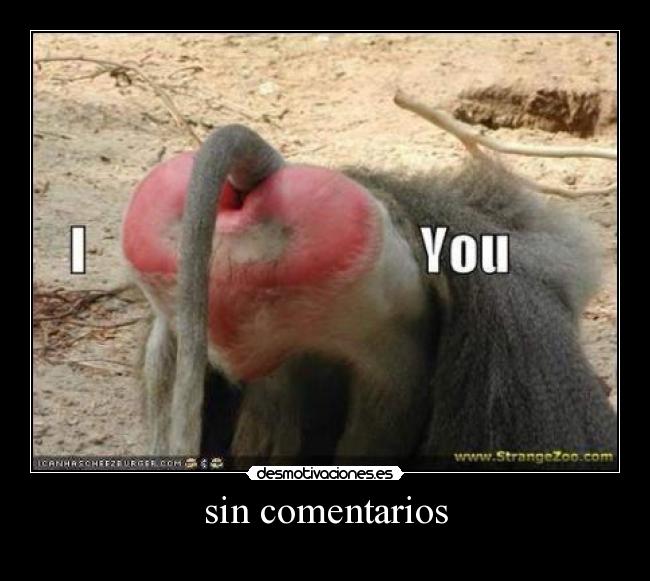 sin comentarios -