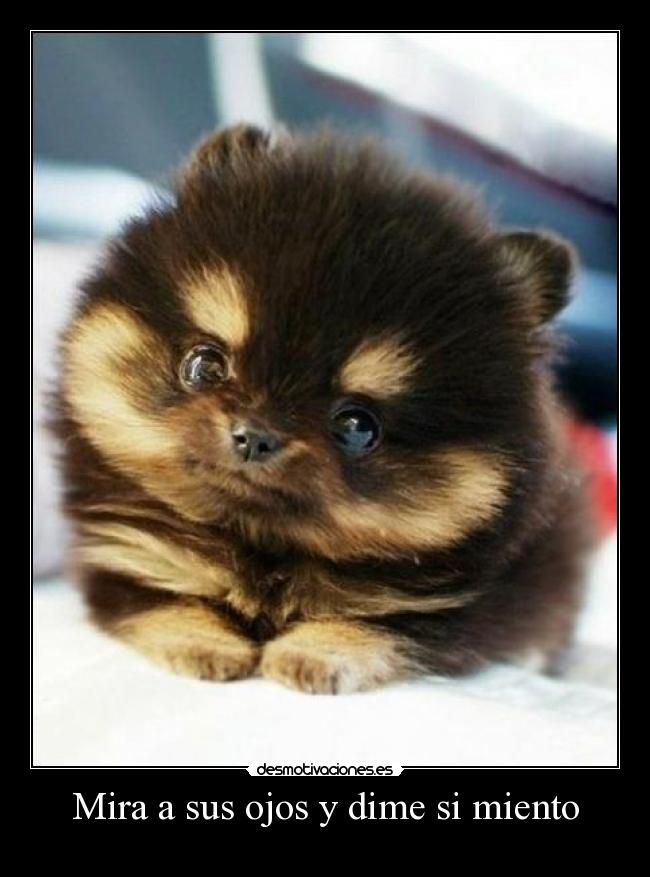 Mira a sus ojos y dime si miento - 