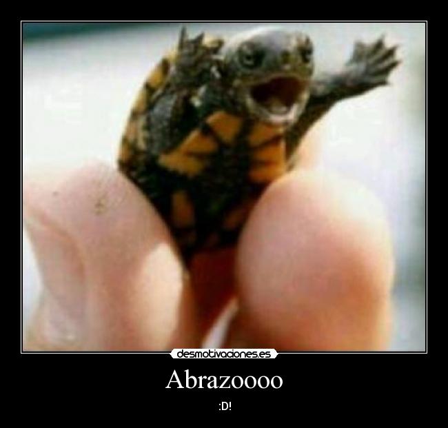 Abrazoooo - :D!