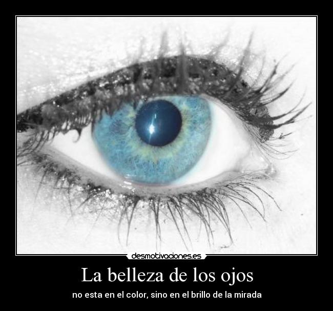La belleza de los ojos - 