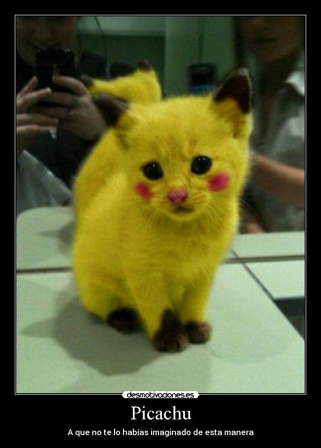 Picachu - A que no te lo habías imaginado de esta manera