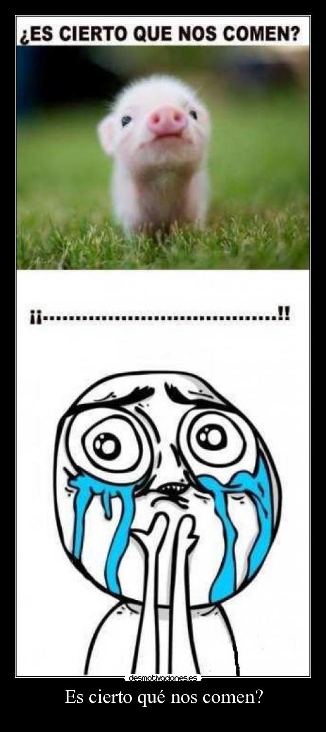 Es cierto qué nos comen? -