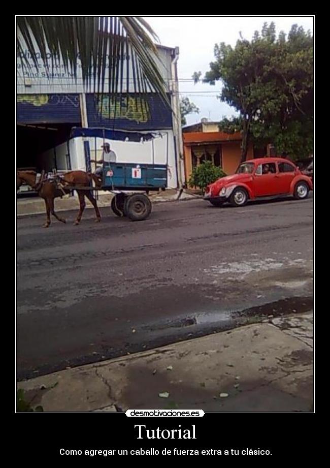 carteles bocho con caballo fuerza desmotivaciones