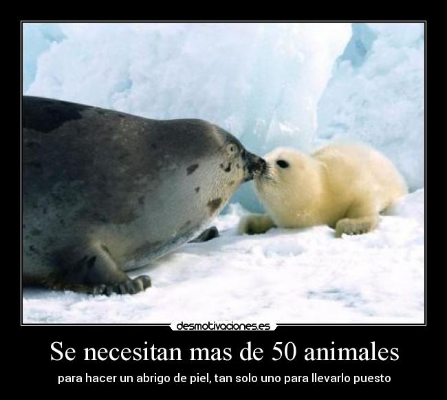 Se necesitan mas de 50 animales - 