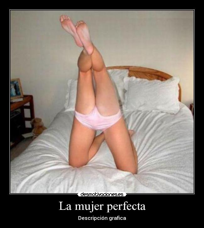 La mujer perfecta - Descripción grafica