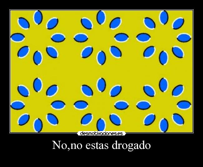No,no estas drogado - 