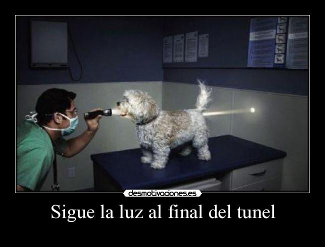 Sigue la luz al final del tunel -