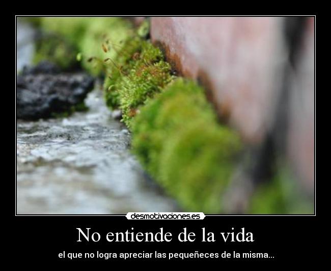 No entiende de la vida - el que no logra apreciar las pequeñeces de la misma...