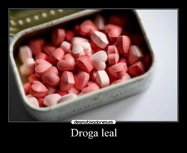 Droga leal - 