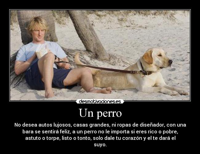 Un perro - No desea autos lujosos, casas grandes, ni ropas de diseñador, con una
bara se sentirá feliz, a un perro no le importa si eres rico o pobre,
astuto o torpe, listo o tonto, solo dale tu corazón y el te dará el
suyo.