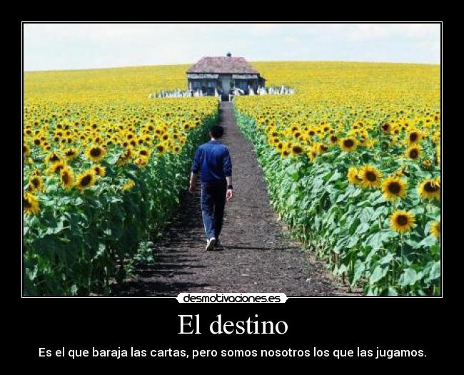 El destino - Es el que baraja las cartas, pero somos nosotros los que las jugamos.