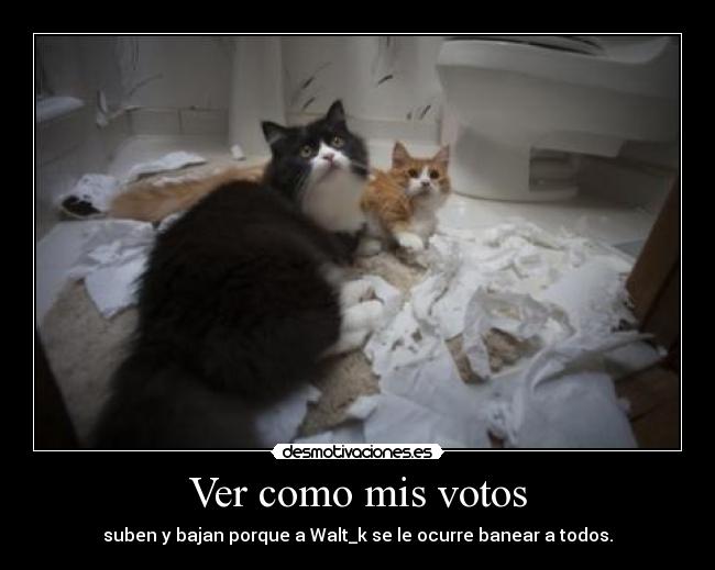 Ver como mis votos - 