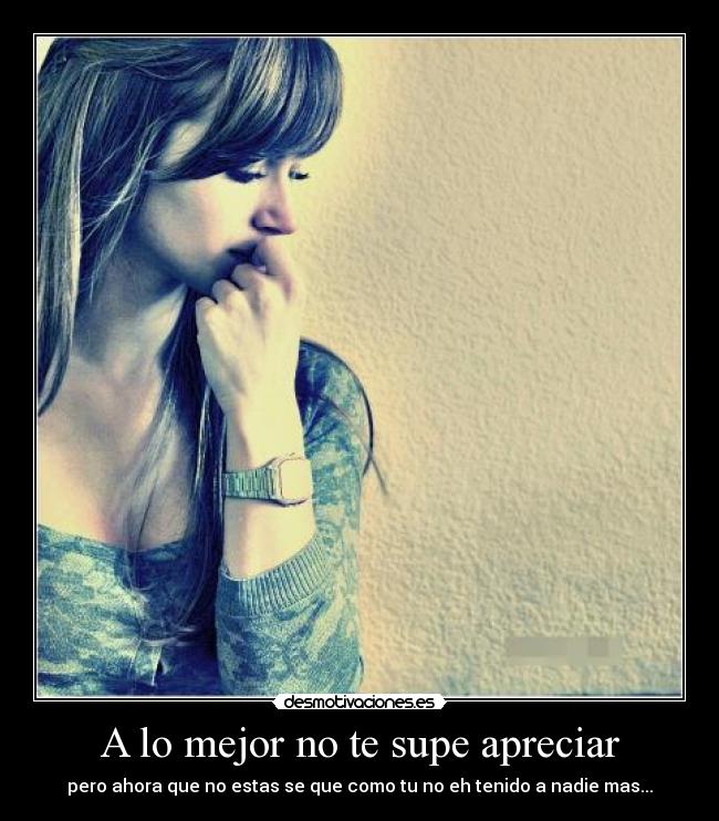 A lo mejor no te supe apreciar - pero ahora que no estas se que como tu no eh tenido a nadie mas...