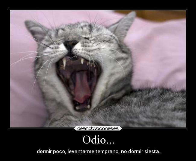 Odio... - 