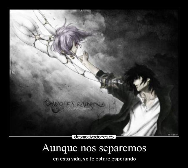 carteles amor desmotivaciones