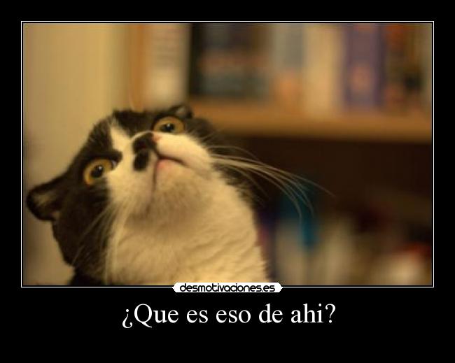 ¿Que es eso de ahi? -