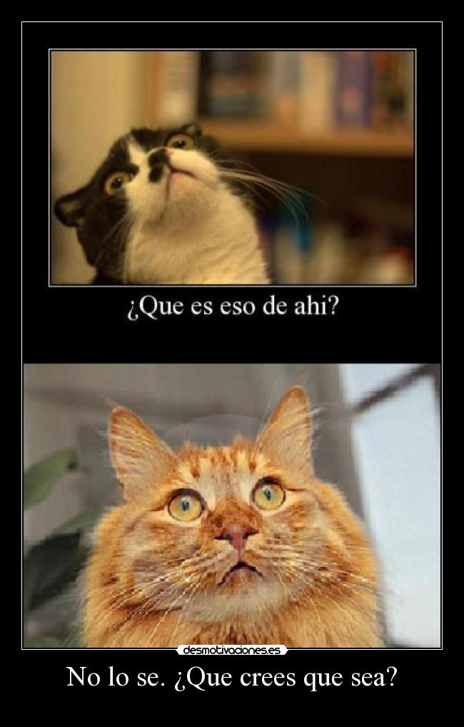 No lo se. ¿Que crees que sea? -