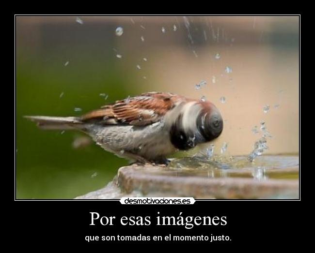 carteles imagenes momento justo desmotivaciones