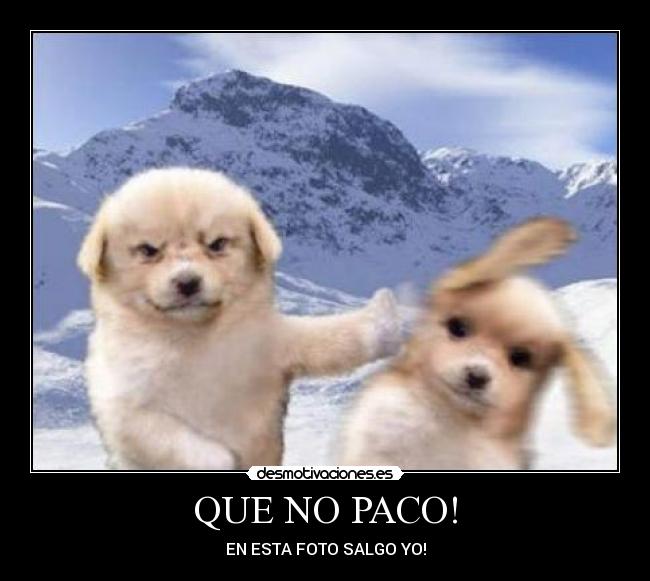 QUE NO PACO! - 