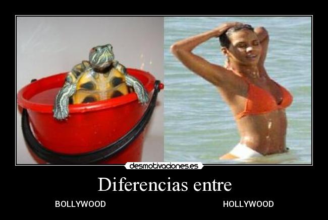 Diferencias entre - BOLLYWOOD HOLLYWOOD
