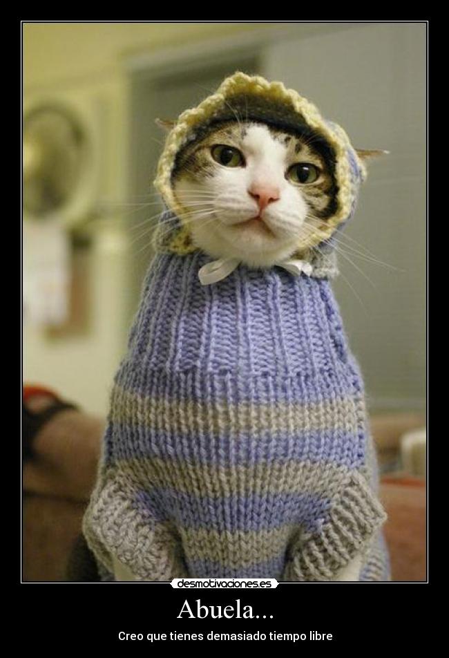 Abuela... - Creo que tienes demasiado tiempo libre
