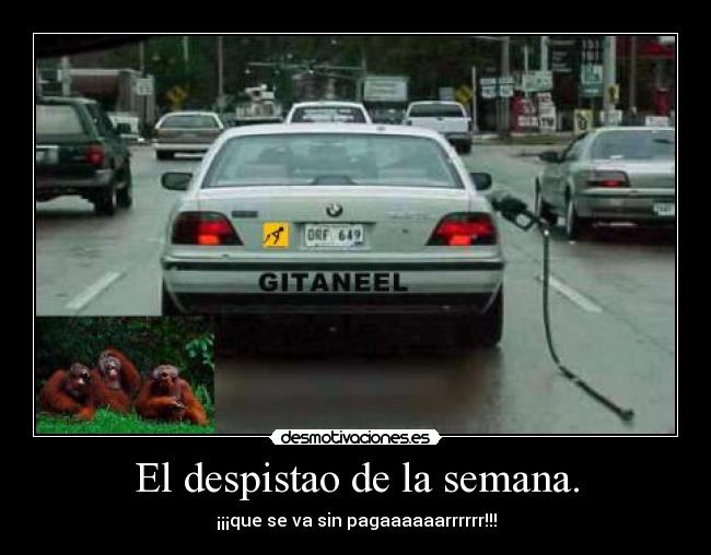 El despistao de la semana. -