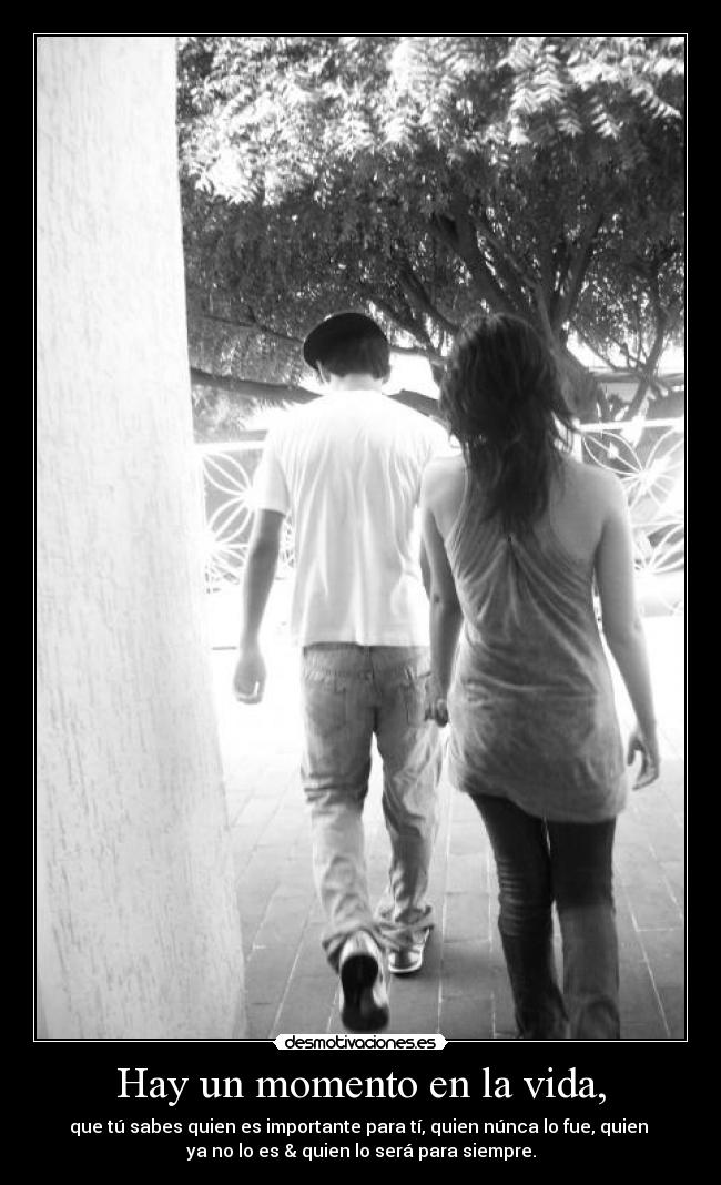 carteles vida jasma02 desmotivaciones