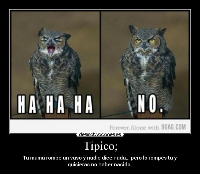 Tipico; -