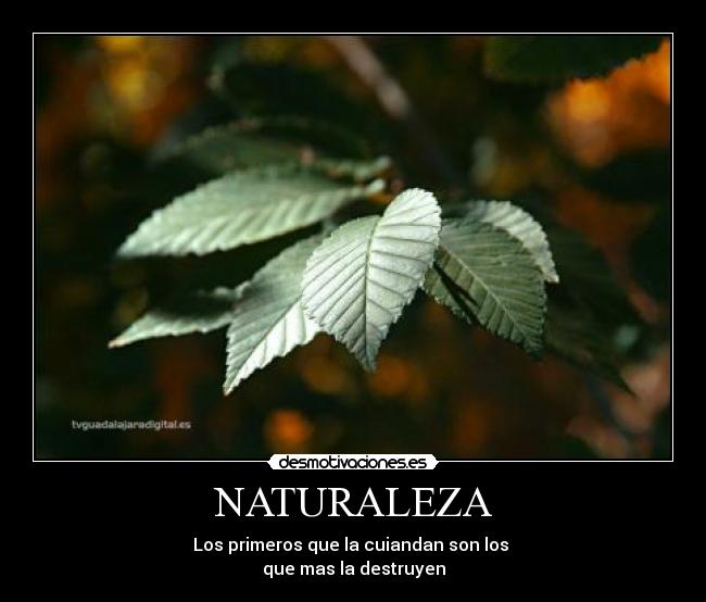 NATURALEZA -
