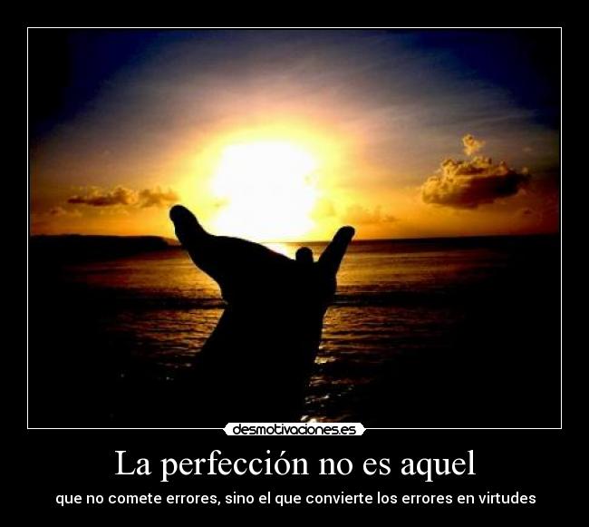 La perfección no es aquel - que no comete errores, sino el que convierte los errores en virtudes