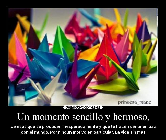 Un momento sencillo y hermoso, - de esos que se producen inesperadamente y que te hacen sentir en paz
con el mundo. Por ningún motivo en particular. La vida sin más