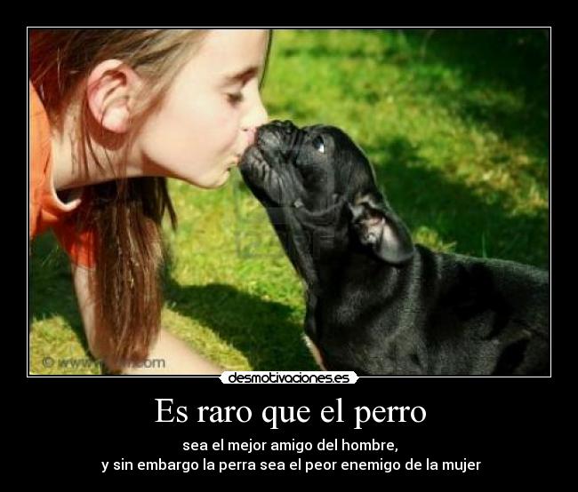 Es raro que el perro - 