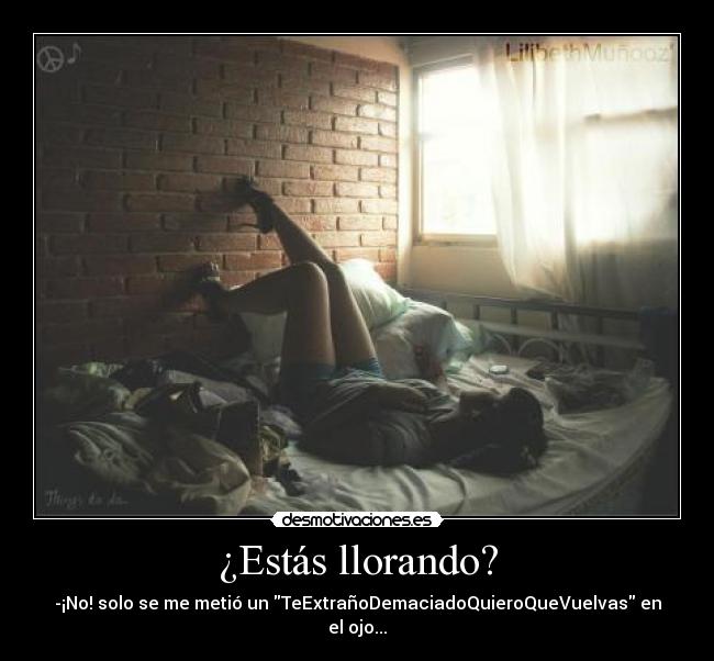 carteles lmartz desmotivaciones