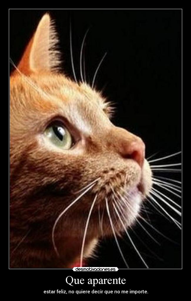 Que aparente - estar feliz, no quiere decir que no me importe.