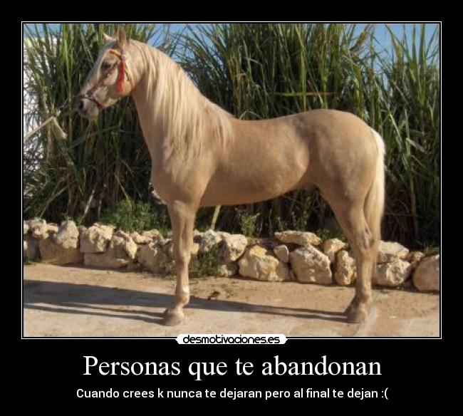Personas que te abandonan -