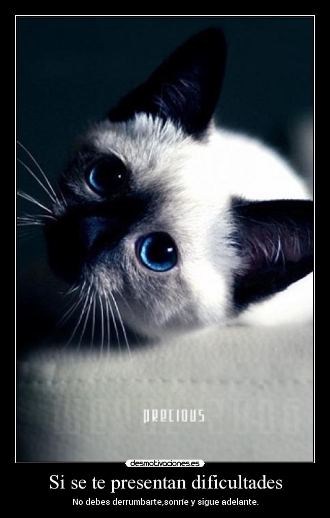 Si se te presentan dificultades - No debes derrumbarte,sonríe y sigue adelante.