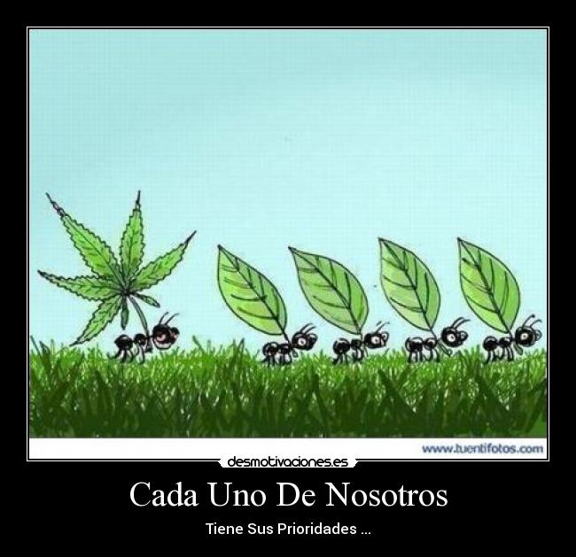 Cada Uno De Nosotros - Tiene Sus Prioridades ...