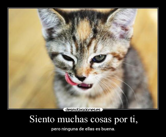 Siento muchas cosas por ti, - 