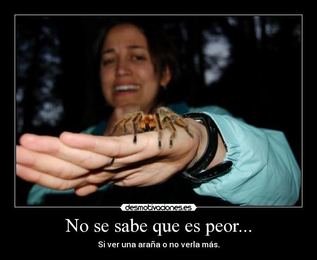 No se sabe que es peor... - Si ver una araña o no verla más.